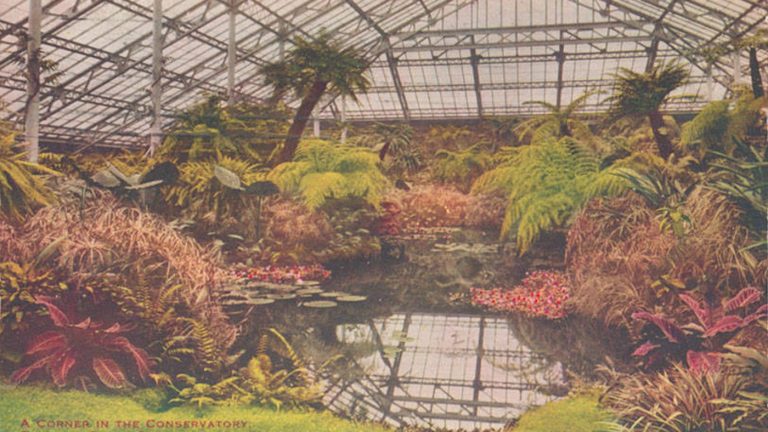 Garfield Park Conservatory à Chicago : serres gratuites, Green Line et visite sans détour inutile