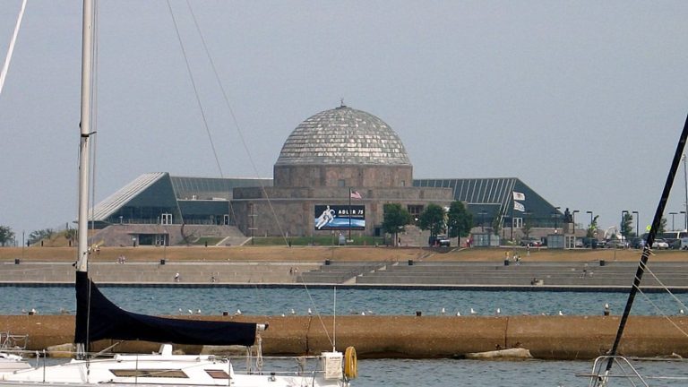 Adler Planetarium à Chicago : billets, durée, skyline et Museum Campus sans vous épuiser