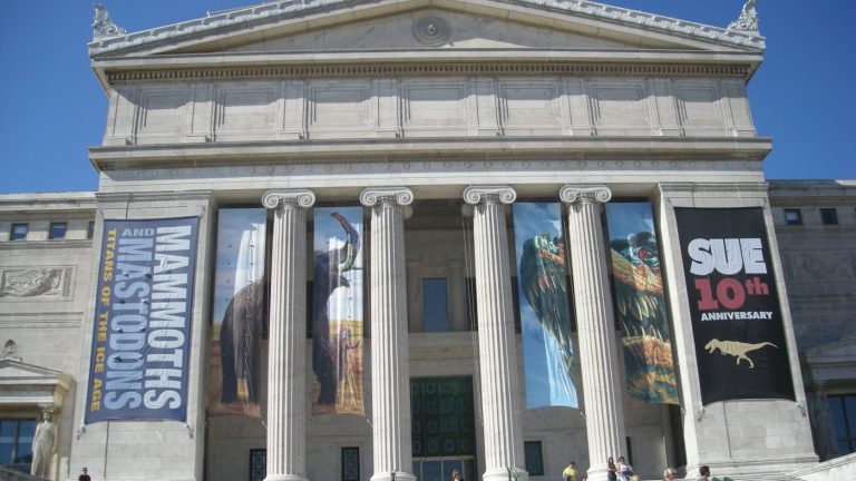 Field Museum à Chicago : billets, durée, SUE et Museum Campus sans saturation
